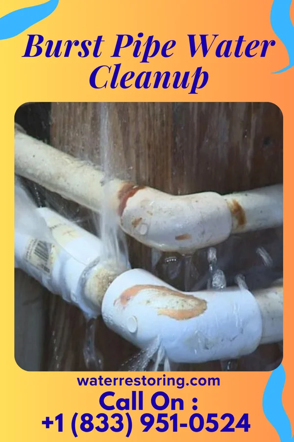 Burst Pipe Water Cleanup in Hookstown, PA