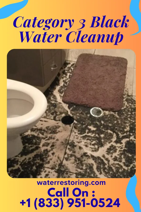 Category 3 Black Water Cleanup in Hookstown, PA