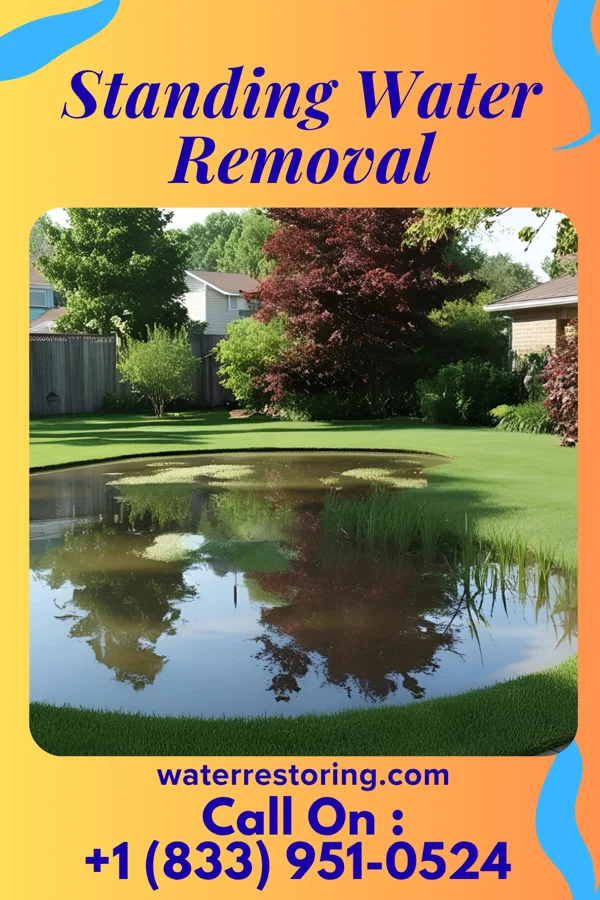 Standing Water Removal in Hookstown, PA